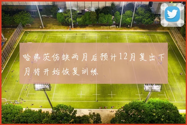 哈弗茨伤缺两月后预计12月复出下月将开始恢复训练