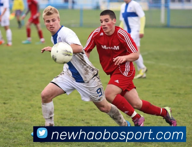 好博足球APP 高清赛事图